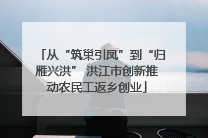 从“筑巢引凤”到“归雁兴洪” 洪江市创新推动农民工返乡创业