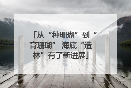 从“种珊瑚”到“育珊瑚” 海底“造林”有了新进展