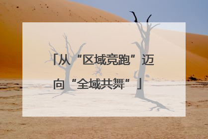 从“区域竞跑”迈向“全域共舞”