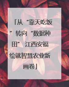 从“靠天吃饭”转向“数据种田” 江西安福绘就智慧农业新画卷