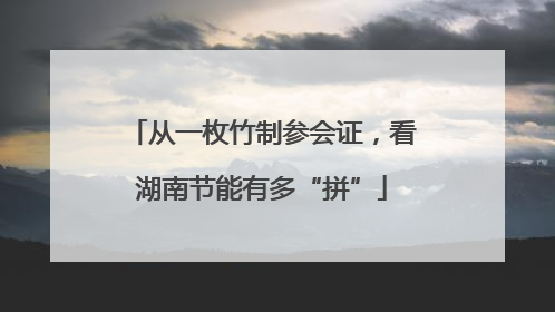 从一枚竹制参会证，看湖南节能有多“拼”
