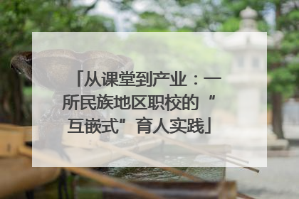 从课堂到产业：一所民族地区职校的“互嵌式”育人实践