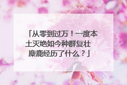 从零到过万！一度本土灭绝如今种群复壮 麋鹿经历了什么？
