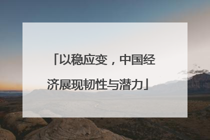以稳应变，中国经济展现韧性与潜力