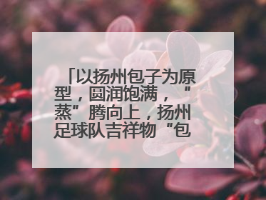 以扬州包子为原型，圆润饱满，“蒸”腾向上，扬州足球队吉祥物“包赢”亮相即售罄