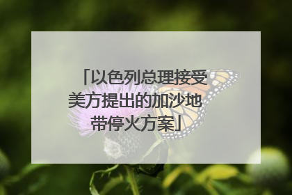 以色列总理接受美方提出的加沙地带停火方案