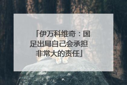 伊万科维奇：国足出局自己会承担非常大的责任