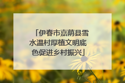伊春市嘉荫县雪水温村厚植文明底色促进乡村振兴