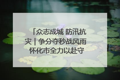 众志成城 防汛抗灾｜争分夺秒战风雨 怀化市全力以赴守护人民群众安全