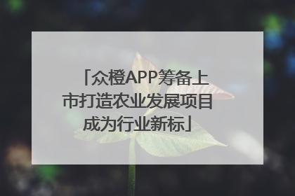 众橙APP筹备上市打造农业发展项目成为行业新标