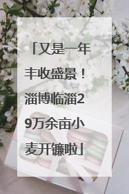 又是一年丰收盛景！淄博临淄29万余亩小麦开镰啦