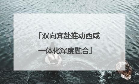 双向奔赴推动西咸一体化深度融合