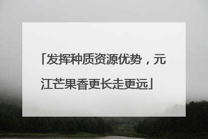 发挥种质资源优势，元江芒果香更长走更远