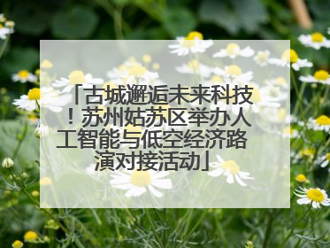 古城邂逅未来科技！苏州姑苏区举办人工智能与低空经济路演对接活动