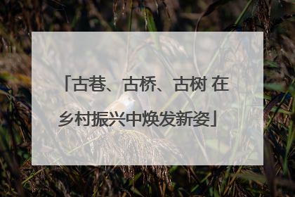 古巷、古桥、古树 在乡村振兴中焕发新姿