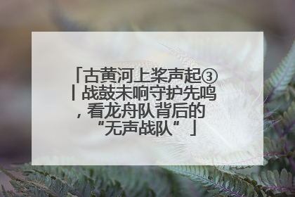 古黄河上桨声起③丨战鼓未响守护先鸣，看龙舟队背后的 “无声战队”