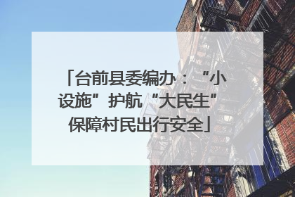 台前县委编办：“小设施”护航“大民生” 保障村民出行安全