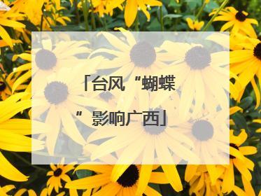台风“蝴蝶”影响广西