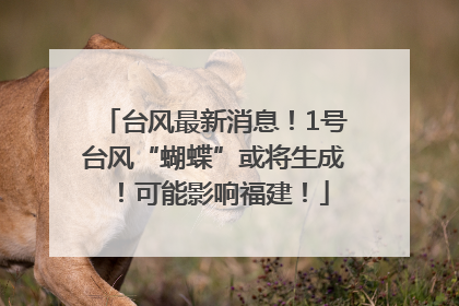 台风最新消息！1号台风“蝴蝶”或将生成！可能影响福建！