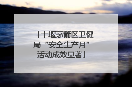 十堰茅箭区卫健局“安全生产月”活动成效显著