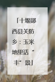 十堰郧西县关防乡：玉米地里话“丰”景