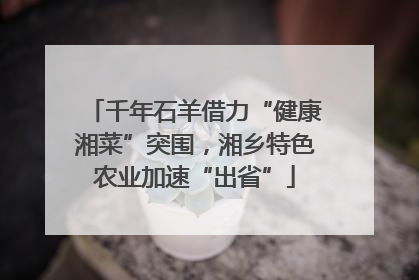 千年石羊借力“健康湘菜”突围，湘乡特色农业加速“出省”