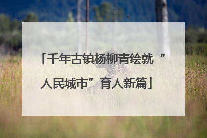 千年古镇杨柳青绘就“人民城市”育人新篇