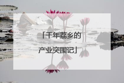 千年荔乡的产业突围记