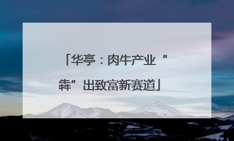 华亭：肉牛产业“犇”出致富新赛道