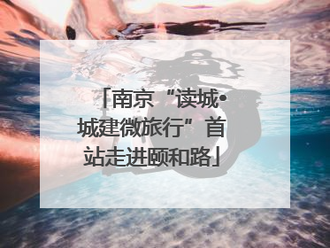南京“读城•城建微旅行”首站走进颐和路