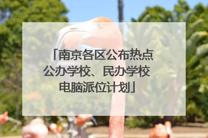 南京各区公布热点公办学校、民办学校电脑派位计划