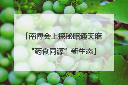 南博会上探秘昭通天麻“药食同源”新生态