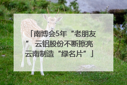 南博会5年“老朋友” 云铝股份不断擦亮云南制造“绿名片”