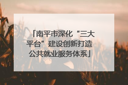 南平市深化“三大平台”建设创新打造公共就业服务体系