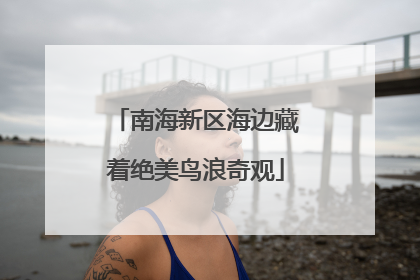 南海新区海边藏着绝美鸟浪奇观