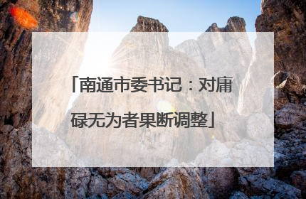 南通市委书记：对庸碌无为者果断调整