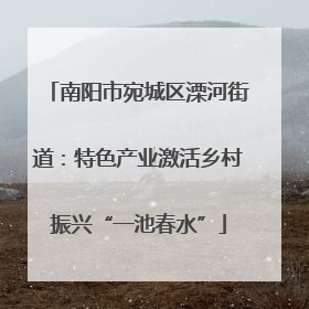 南阳市宛城区溧河街道：特色产业激活乡村振兴“一池春水”