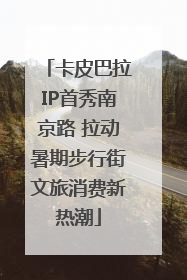 卡皮巴拉IP首秀南京路 拉动暑期步行街文旅消费新热潮
