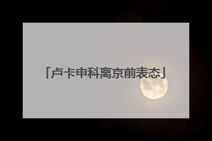 卢卡申科离京前表态