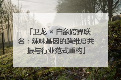 卫龙 × 白象跨界联名：辣味基因的跨维度共振与行业范式重构