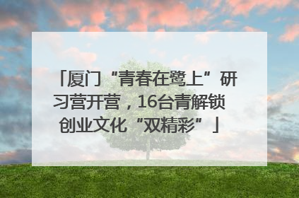 厦门“青春在鹭上”研习营开营，16台青解锁创业文化“双精彩”