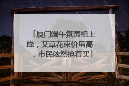 厦门端午氛围组上线，艾草花束价虽高，市民依然抢着买