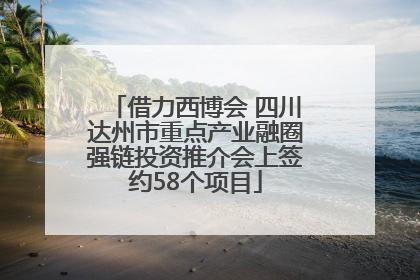 借力西博会 四川达州市重点产业融圈强链投资推介会上签约58个项目