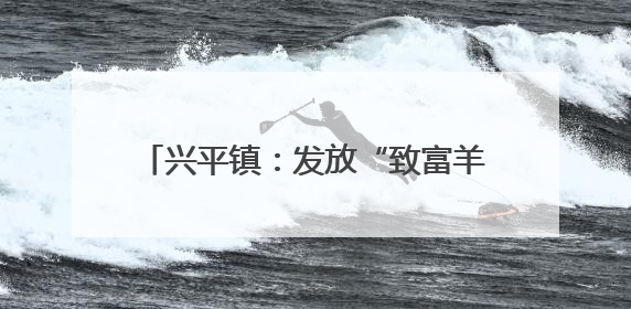 兴平镇：发放“致富羊”助力乡村振兴启新程