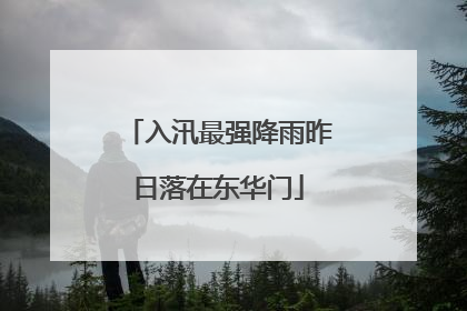 入汛最强降雨昨日落在东华门