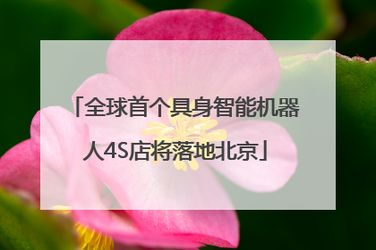 全球首个具身智能机器人4S店将落地北京