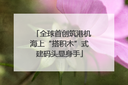 全球首创筑港机海上“搭积木”式建码头显身手