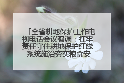 全省耕地保护工作电视电话会议强调：扛牢责任守住耕地保护红线 系统施治夯实粮食安全根基 王宁作出批示 王予波出席并讲话