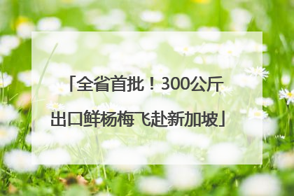 全省首批！300公斤出口鲜杨梅飞赴新加坡