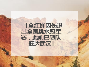全红婵因伤退出全国跳水冠军赛，此前已随队抵达武汉
